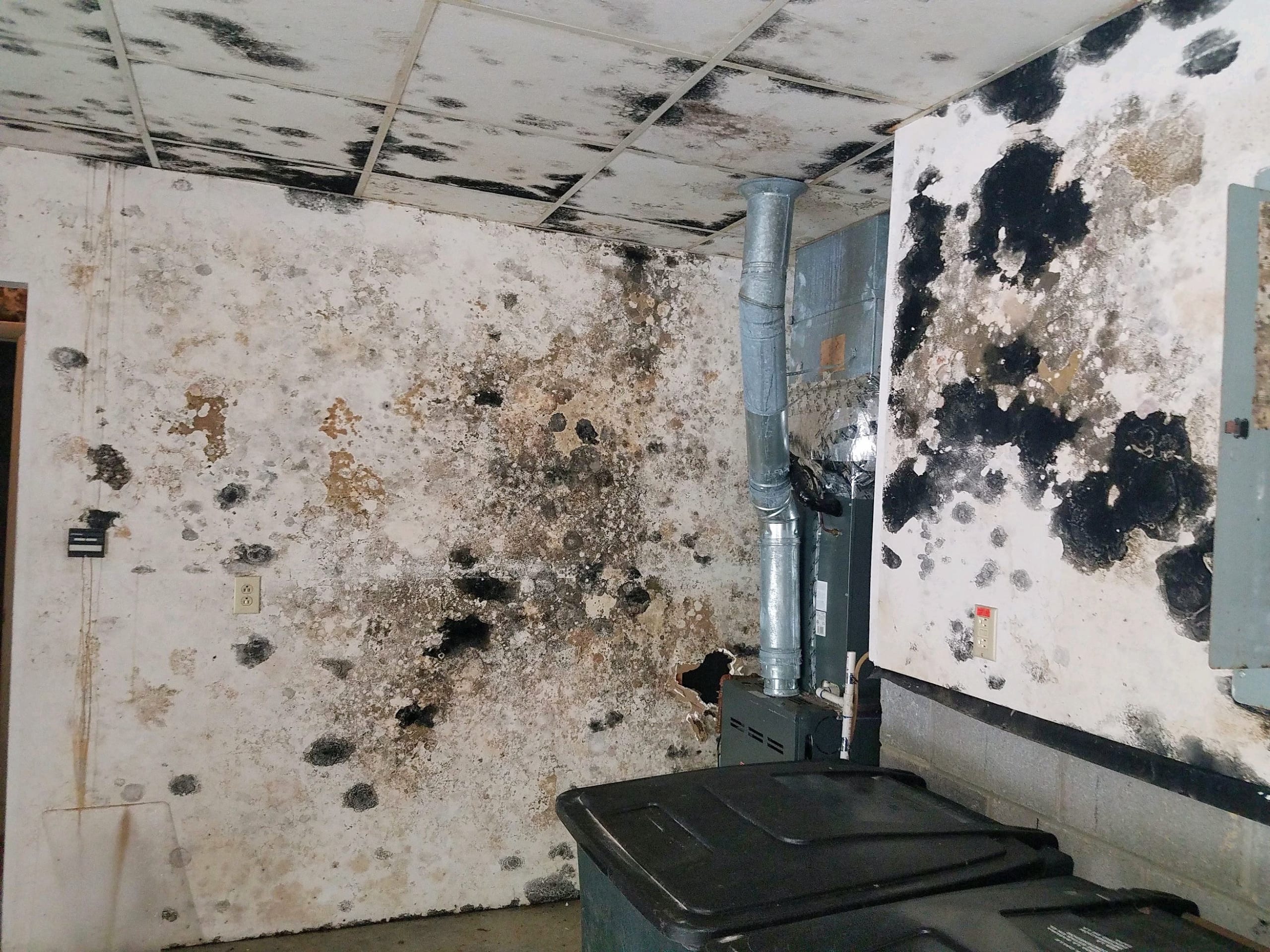 Mold growth in garage after unattended water damage mold cleaning